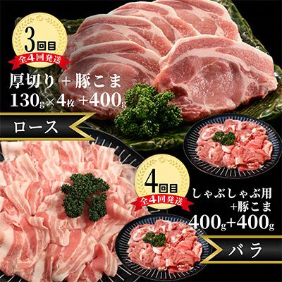 ふるさと納税 小矢部市 【2ヵ月毎定期便】メルヘンポーク定期便　豚こま・味噌漬・焼肉・とんかつ・しゃぶしゃぶ全4回 |  | 02