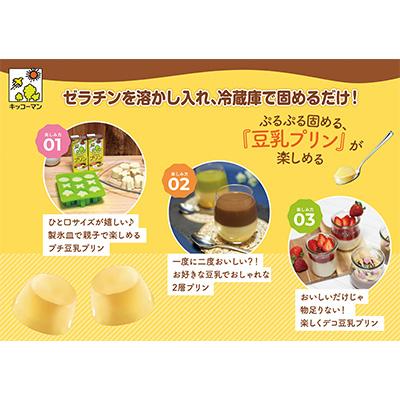 ふるさと納税 瑞穂市 【毎月定期便】キッコーマンの特濃調製豆乳1000ml×18本 全3回の画像