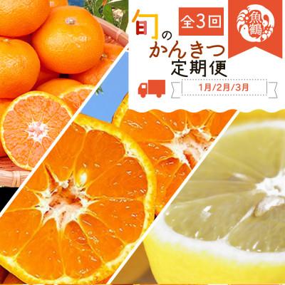 ふるさと納税 九度山町 [発送月固定定期便]紀州和歌山産旬のフルーツセット(みかん・不知火・レモン)全3回