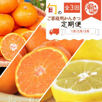 ふるさと納税 九度山町 [発送月固定定期便]紀州和歌山産旬のご家庭用柑橘セット(みかん・不知火・レモン)全3回