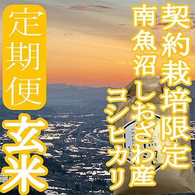 ふるさと納税 南魚沼市 【毎月定期便】※玄米2Kg※生産者限定 南魚沼しおざわ産コシヒカリ全6回の画像