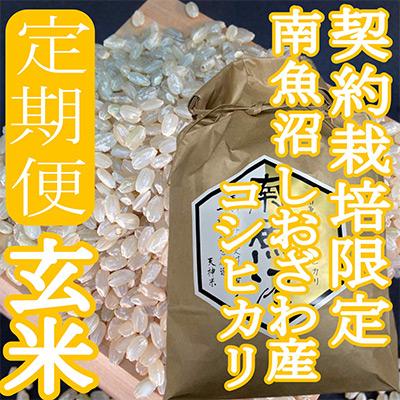 ふるさと納税 南魚沼市 【毎月定期便】※玄米2Kg※生産者限定 南魚沼しおざわ産コシヒカリ全6回の画像