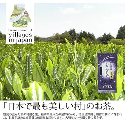 ふるさと納税 篠栗町 [毎月定期便]奥八女星野村 深蒸し高級煎茶(深蒸し茶)100g×1袋(篠栗町)全6回
