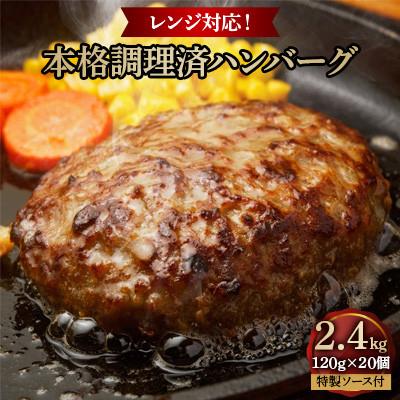 ふるさと納税 中間市 [発送月固定定期便]本格調理済ハンバーグ20食 特製ソース付(中間市)全3回
