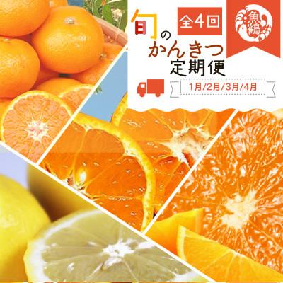 ふるさと納税 上富田町 [発送月固定定期便]紀州和歌山産旬のフルーツセット(みかん・不知火・レモン・清見)全4回