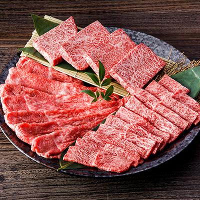 ふるさと納税 伊万里市 [毎月定期便]伊万里牛 A5赤身全3回