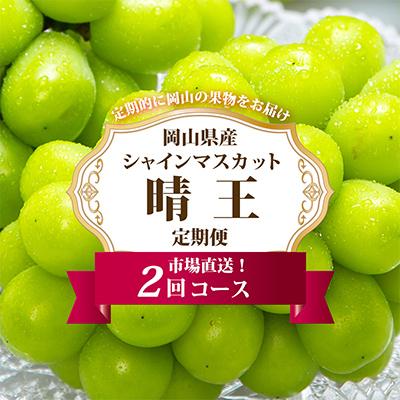 ふるさと納税 里庄町 [発送月固定定期便]岡山県産 シャインマスカット『晴王』定期便全2回