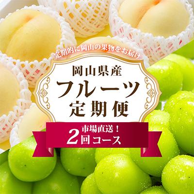 ふるさと納税 里庄町 [発送月固定定期便]岡山県産 フルーツ定期便全2回