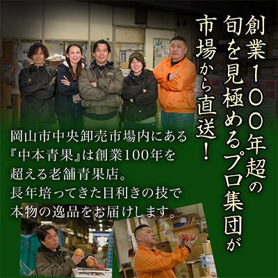ふるさと納税 津山市 【先行受付】岡山県産 岡山白桃エース2L250g×2玉・