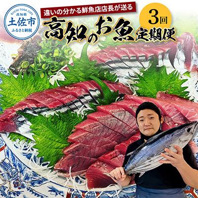 ふるさと納税 土佐市 [毎月定期便]違いの分かる鮮魚店店長おすすめ 高知のお魚定期便!! 全3回