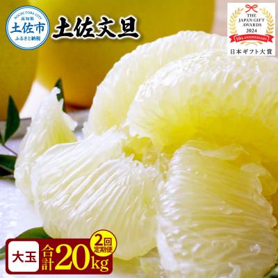 ふるさと納税 土佐市 [発送月固定定期便][2月・3月にお届け!]やの一果彩園主こだわり土佐文旦(18〜24玉)全2回