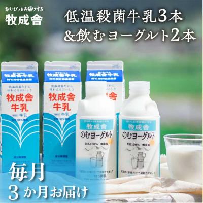 ふるさと納税 飛騨市 [毎月定期便] 飛騨の牛乳屋・牧成舎の低温殺菌牛乳3本&amp;のむヨーグルト2本全3回