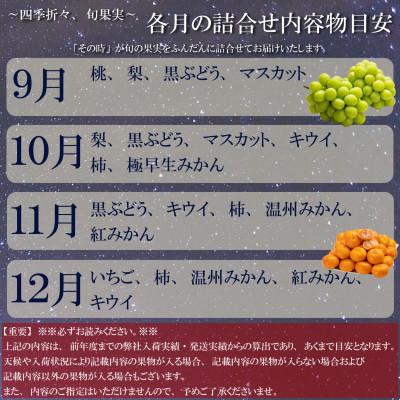 ふるさと納税 坂出市 【毎月定期便】旬を見極めた厳選フルーツ詰合せ【半月セット】(3〜5品)2ヶ月連続定期便/全2回 |  | 03