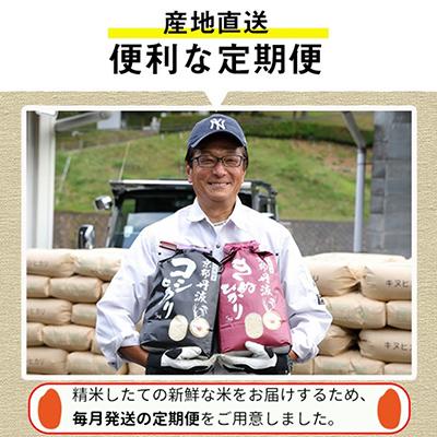 ふるさと納税 南丹市 【毎月定期便】訳あり　契約栽培米　丹波こし・きぬ　食べ比べ　10kg　全3回_2