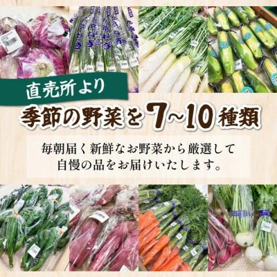 ふるさと納税 亀岡市 【毎月定期便】訳あり 農家直送!佐伯の里の新鮮 野菜セット(7〜10品目)全6回 |  | 01