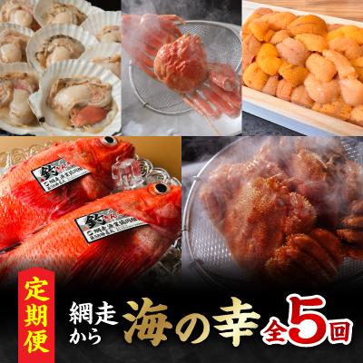 ふるさと納税 網走市 [発送月固定定期便][冷蔵便]網走から海の幸 毛ガニ、ズワイガニ、うに、活ホタテ、きんき等 全5回