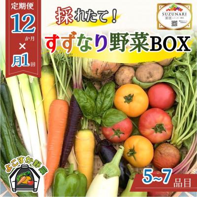 ふるさと納税 横須賀市 [毎月定期便]すずなり採れたて野菜BOX(定期便)60サイズ全12回