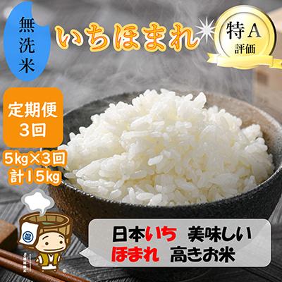 ふるさと納税 あわら市 [毎月定期便]いちほまれ 無洗米 5kg全3回