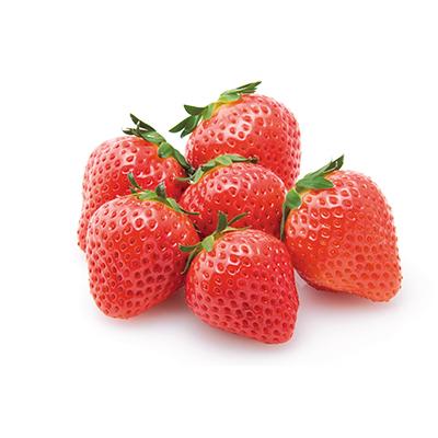 ふるさと納税 坂出市 [発送月固定定期便]坂出市「旬のフルーツを味わう6回」定期便 全6回