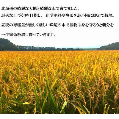 ふるさと納税 富良野市 【毎月定期便】冷めてもモチモチ 北海道富良野産 ななつぼし 精米 10kg×1袋 全3回 |  | 01