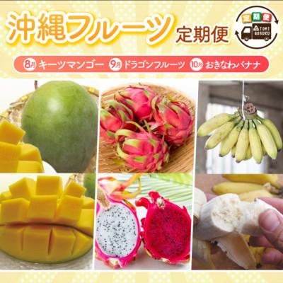 ふるさと納税 豊見城市 [発送月固定定期便][2026年発送]沖縄フルーツ定期便(8・9・10月コース)全3回