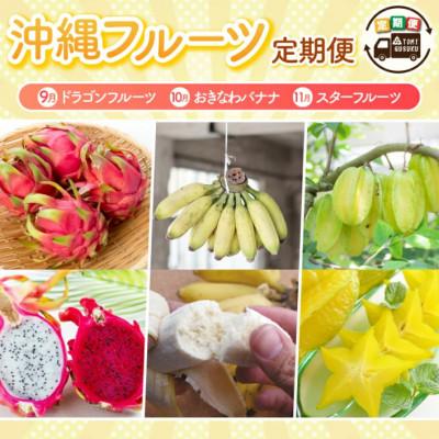 ふるさと納税 豊見城市 [発送月固定定期便][2026年発送]沖縄フルーツ定期便(9・10・11月コース)全3回