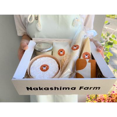 ふるさと納税 嬉野市 [毎月定期便]ナカシマファームのおまかせチーズ&amp;チーズスイーツセット※6種入り 全3回
