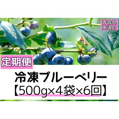ふるさと納税 東通村 [2ヵ月毎定期便]青森県東通村産 冷凍ブルーベリー(500g入×4袋) 全6回