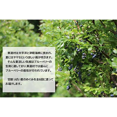 ふるさと納税 東通村 【2ヵ月毎定期便】青森県東通村産　冷凍ブルーベリー(500g入×4袋) 全6回 |  | 01