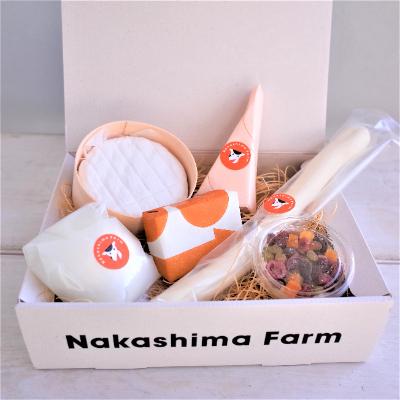 ふるさと納税 嬉野市 [毎月定期便]ナカシマファームのできたてチーズセット(6種入り) 全3回