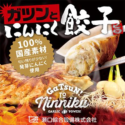 ふるさと納税 海津市 [毎月定期便]栄養価満載!臭い残り少ない!発芽にんにく使用「ガツンとにんにく餃子」2パック 全6回