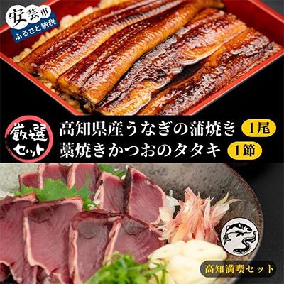 ふるさと納税 安芸市 [毎月定期便]藁焼きかつおのタタキ1節と高知県産うなぎの蒲焼き1尾セット 全3回
