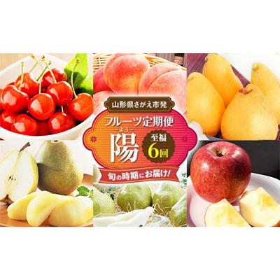 ふるさと納税 寒河江市 [発送月固定定期便][山形の厳選果物]至福の6回 フルーツ 定期便 〜陽(よう)全6回