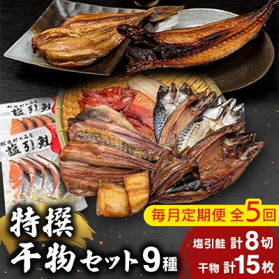 ふるさと納税 村上市 [毎月定期便]特撰干物セット(5ヶ月コース) 全5回