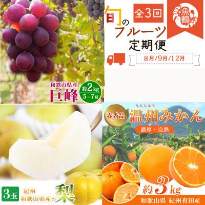 ふるさと納税 有田川町 [発送月固定定期便]紀州和歌山産旬のフルーツセットB(巨峰・梨・みかん)全3回