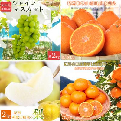 ふるさと納税 有田川町 [発送月固定定期便]紀州和歌山産旬のフルーツセット(シャイン・梨・みかん・不知火)全4回