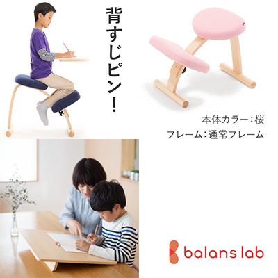 ふるさと納税 美濃市 バランスイージー 通常[桜]+イージーライティングボードM[複数個口で配送]