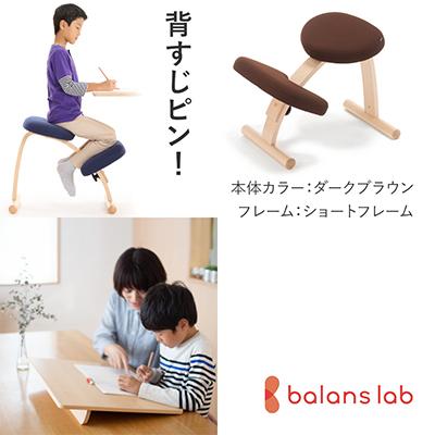 ふるさと納税 美濃市 バランスイージー ショート[ダークブラウン]+イージーライティングボードM[複数個口で配送]