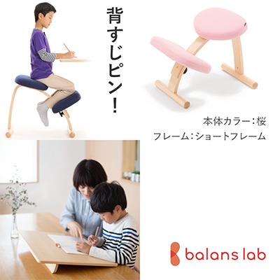 ふるさと納税 美濃市 バランスイージー ショート[桜]+イージーライティングボードM[複数個口で配送]