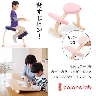 ふるさと納税 美濃市 バランスイージー ショート[桜]カバー付+イージーライティングボードM[複数個口で配送]