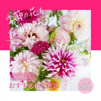 ふるさと納税 芸西村 [毎月定期便]芸西村産季節のおすすめ生花花束 初回花瓶付 毎回延命剤付[t157tmf] 全3回