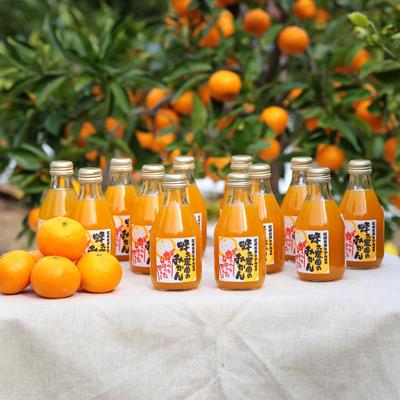 ふるさと納税 湯浅町 [毎月定期便]蜂久農園のみかんがっつりしぼったでぇ 全3回