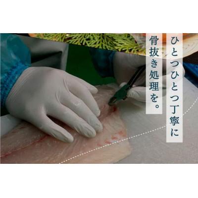 ふるさと納税 芸西村 【毎月定期便】人気海鮮返礼品を集めた4ヶ月定期便【t022kyf】　全4回 |  | 02