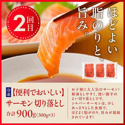 ふるさと納税 泉佐野市 【毎月定期便】泉佐野 お楽しみ福袋(牛肉 ステーキ 海鮮 サーモン 野菜)全3回 |  | 02