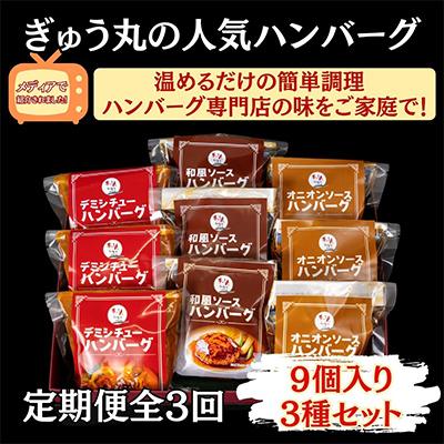 ふるさと納税 嬉野市 [毎月定期便]ぎゅう丸ハンバーグセット全3回