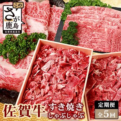 ふるさと納税 鹿島市 [発送月固定定期便]佐賀牛 しゃぶしゃぶ・すき焼き用(肩ロース・モモ・切落し) L-42 全5回
