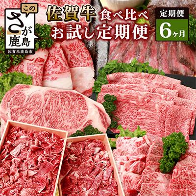 ふるさと納税 鹿島市 [毎月定期便]佐賀牛 食べ比べ(モモ・肩ロース・サーロイン・切落し・ローストビーフ他)R-9 全6回