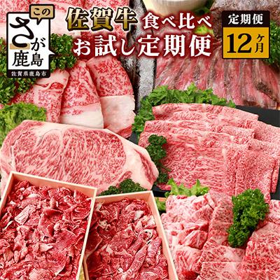 ふるさと納税 鹿島市 [毎月定期便]佐賀牛 食べ比べ(モモ・肩ロース・サーロイン・ローストビーフ・焼肉)V-45 全12回