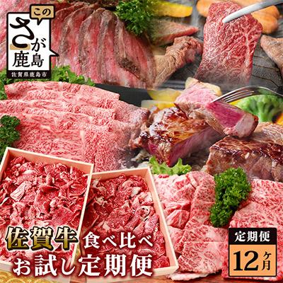 ふるさと納税 鹿島市 [毎月定期便]佐賀牛食べ比べ(モモ 肩ロース サーロイン 焼肉 ローストビーフ) V-46全12回