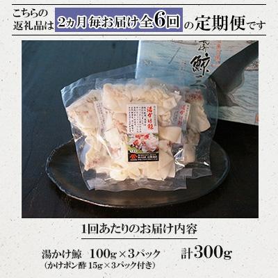 ふるさと納税 長崎市 【2ヵ月毎定期便】湯かけ(100g×3)全6回 |  | 02